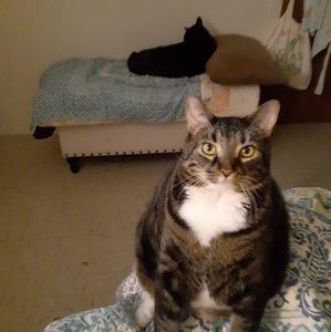 Meet your Posher, Isabel